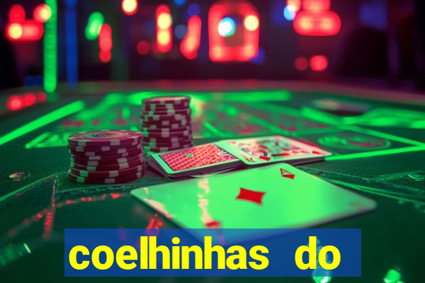 coelhinhas do brasil acompanhantes